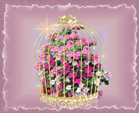 Captured beauty - flowers, gold cage, white, mauve, colors, pink