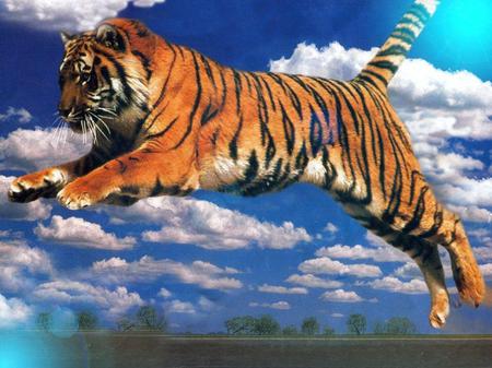 fantasy tiger - wildlife, animal, feline, zoo, tiger, fantasy