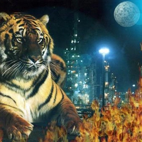 Majestic fantasy tiger