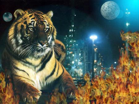 Majestic fantasy tiger - fantasy, animal, feline, zoo, tiger, wildlife