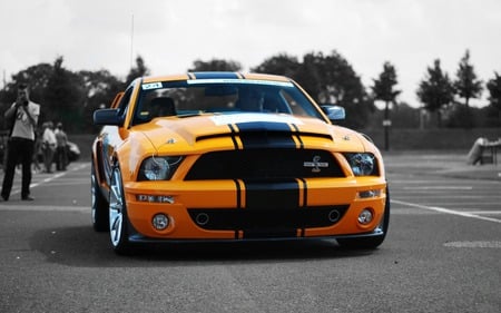 Shelby Ford - luxury, speed, photography, cars, ford, shelby, power