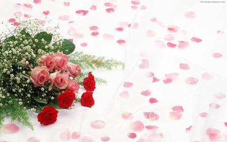 roses - roses, pink, red, beautiful, greens, bouquet, decoration