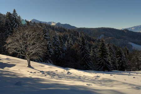 Winter - trees, winter, snow, landscape, beauty, sesons, forest, popular, ice, nature, cold, background, mountains, sky