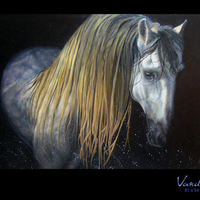 Vandalo