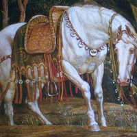 The Great Grey