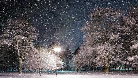 snowfall - trees, bluesky, winter, snowflakes, lamppost