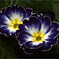 What a wonderful colors