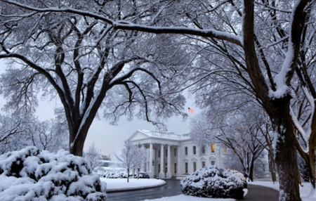 Snowy White House Driveway - washington dc, brown, bushes, snow, president, columns, driveway, district of columbia, white house, flag, trees, winter, city, black, white, cold, us