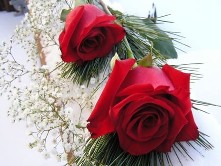 With All My Love - red, special, roses, happy, birthday, wonderful, day