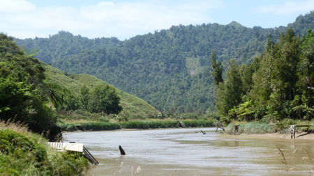 New Zealand - nature, isolation, new zealand, nz