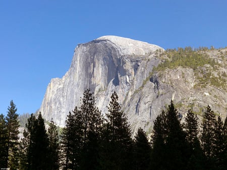 Half Dome - trees, blue, mountain, sky, dome