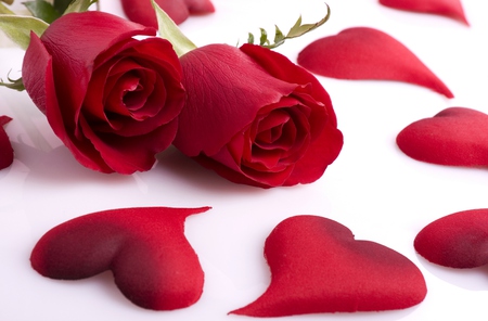 Red Roses - pretty, roses, heart, romantic, red roses, romance, flowers, red, nice, beautiful, photography, valentines day, beauty, lovely, with love, love, still life, nature, rose, hearts