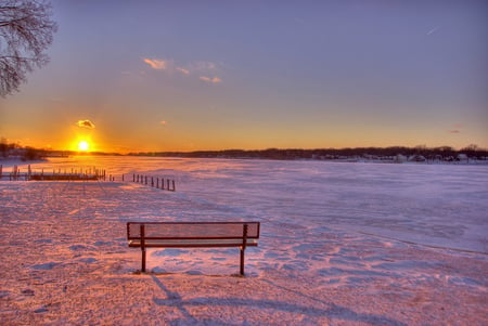 Winter sunset - beauty, sky, popular, places, branch, sun, sunset, bench, sesons, white, cold, clouds, frozen, golden, landscape, background, winter, gold, nature, snow, beautiful