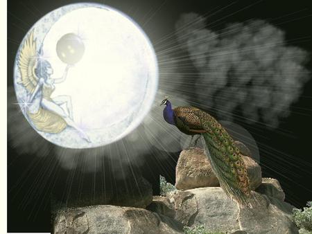 Peacock Rock - rock, fantasy, peacock, moon, other, angel