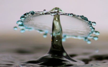 drop - nature, water, raindrop, blue