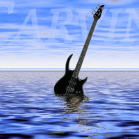 Electric Bass Guitar