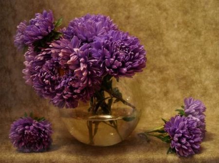 still life - flowers, vase, still life, purple