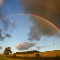 Rainbow in Field