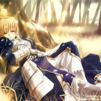 saber in sunlight