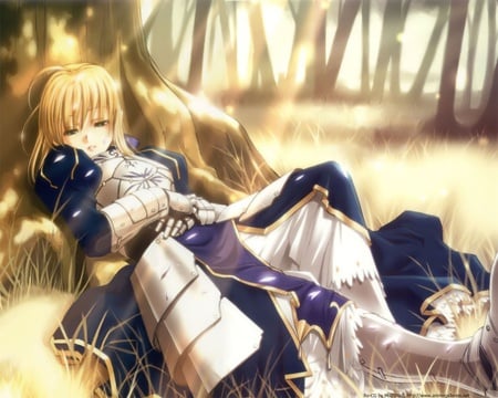 saber in sunlight - armor, sunlight, saber, anime, blue