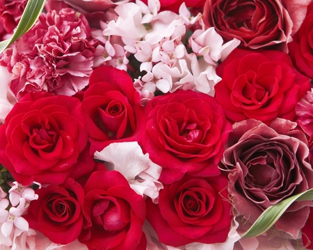 Flowers - flowers, roses, nature, red, beauty, bouquet, pink