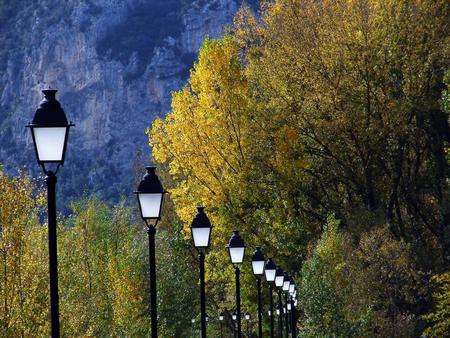 lights - nature, lamps, park, row, lights