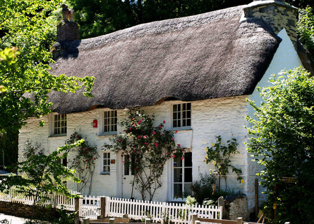 english cottage - cottage, roses, flowers, garden, english