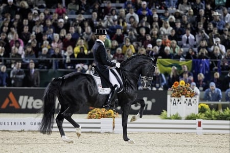 The Great Dutch Warmblood:Totilas