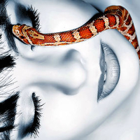 Beauty And Snake