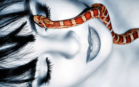 Beauty And Snake