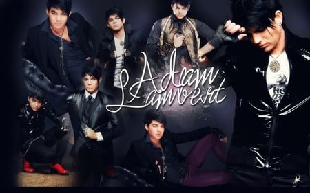 i love adam lambert - lol