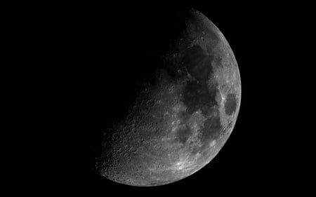 First Quarter Moon - moon, nature, skies, partial