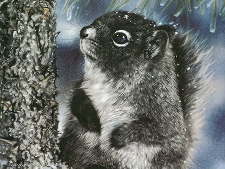 Squirrel, by Lesley Harrison - painting nature, lesley harrison, art, squirrel