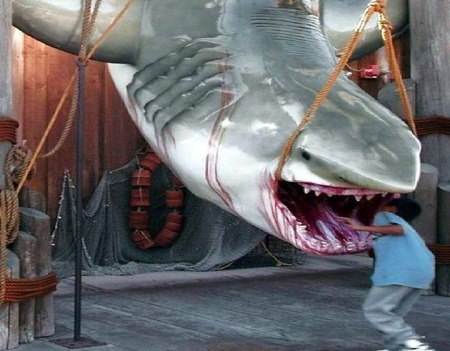 um not what you were hoping for - kid, shark, haha, evil, not what u thout, creepy