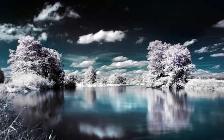 Creative photography - nature, sky, phottography, trees, clouds, water, creative