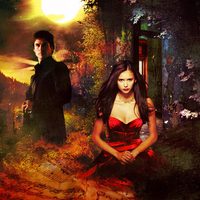 Vampire Diaries ~ Damon and Elena