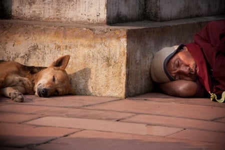 take some rest - sleep, dog, man, rest, sweet