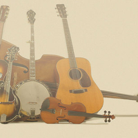 Bluegrass Instruments