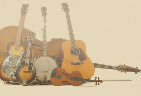 Bluegrass Instruments - guitar, and banjo, fiddle, bass, mandolin, drobro