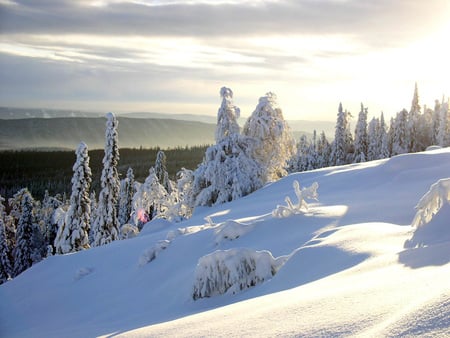 Siberian Winter - winter, snow, russia, siberia