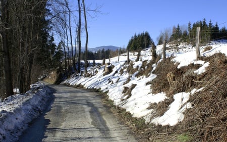 Old Forest Road - forest, road, beautiful, rural, blue, sky, side, fence, fields, nature, mountain, snow