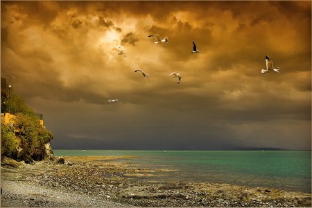 GOLDEN DAY - clouds, birds, beach, stormy, golden, ocean, day