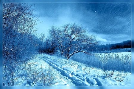 BLUE ICE - clouds, ice, trees, winter, blue, snow, forest, sky