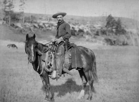 GOLD  TIME  WEST - west, gold, nature, cowboy