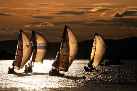 Sailing - beauty, sail, ocean, boats, sunset, challenge, canvas, dark, sun light, confrontation, sea