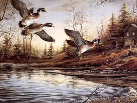 Birds - hut, painting, lake, art, tree, bird, fly, birds