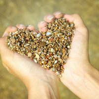 Pebble heart