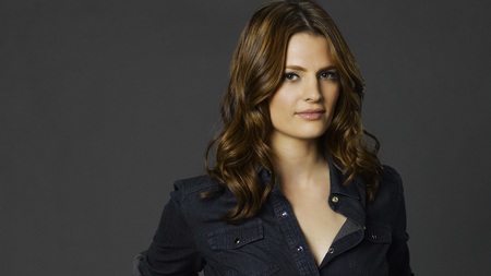 Stana Katic - sexy, actress, drama, stana katic, tv series, film, heroes, beautiful, crime, castle