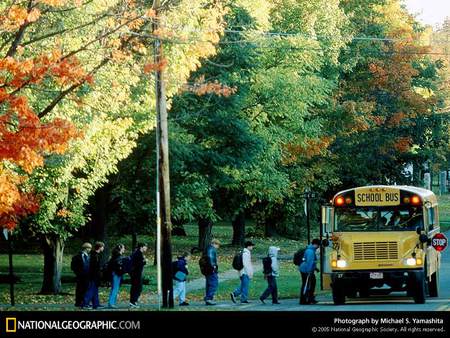 Back to School - bus, friends, learn, teach