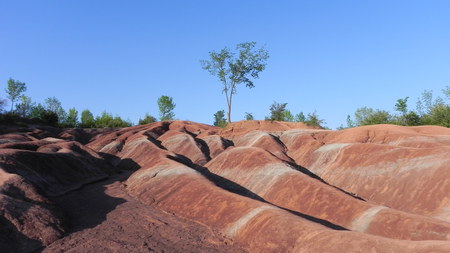 Red Sands - red, sand, hills, trees, nature